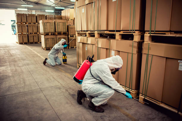 Best Rat Extermination Near Me  in Myerstown, PA