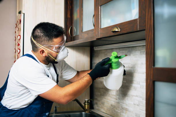 Best Exterminator Services  in Myerstown, PA