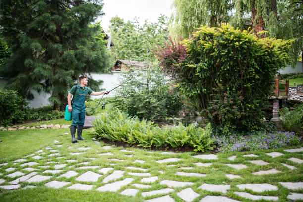 Best Pest Removal Services  in Myerstown, PA