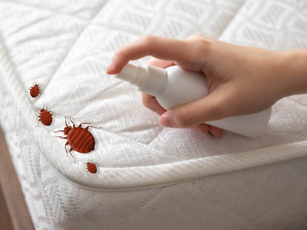 Reliable Myerstown, PA Pest Control Solutions