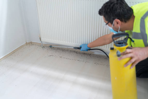 Best Affordable Pest Control Services  in Myerstown, PA