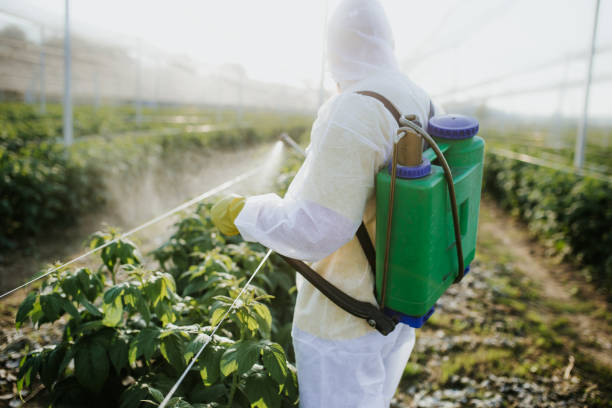 Best Exterminator Services  in Myerstown, PA